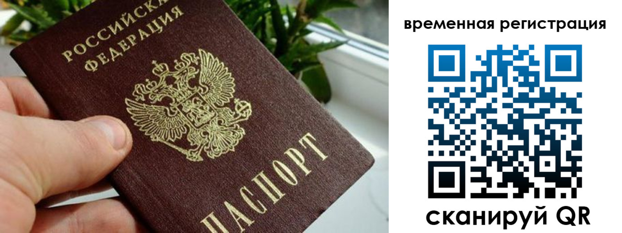 прописка поиск в Балабаново